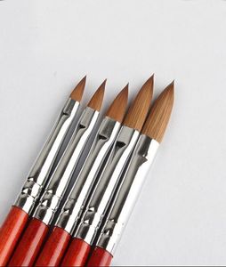 5 PCS Kolinsky Sable Acrylic Nail Art Brush No 246810 UV Gel Builder Talling Pen Brush Liquid Liquid Powder Diy Beauty Nail Drawing4111392