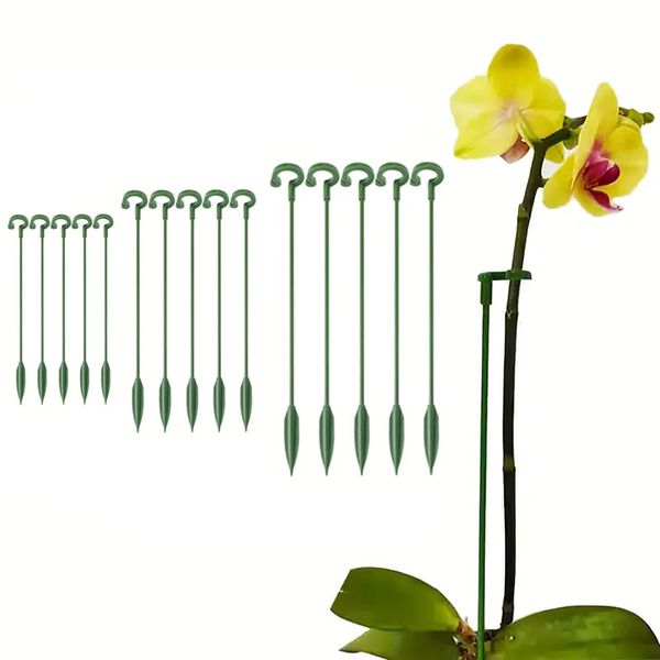 5 pcs tige de tige anneau de support pour orchidées amaryllis tomates verts jardins enjeux de plante bâtons de plante pour le support de la tige des fleurs