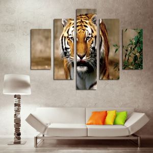 Ensemble d'art sur toile de 5 pièces, peinture de tigre féroce, impressions sur toile modernes, peinture Yekkow HD, image murale d'animal pour chambre à coucher, décoration de maison, 248p