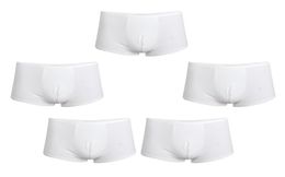 5 pièces hommes blancs absorbance régulière lavable des boxeurs d'incontinence réutilisables L266S9918670