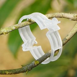 50-1000 pcs tuinieren planten klimmen ondersteuning plastic clips wijnstok houder tuin bloem aardbei zaailing tomaat rattan fixer clip