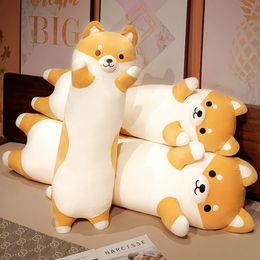 50-150 cm Giant Long Shiba Inu Dog Plush Toy Throw-kussen Gevulde zacht dier Corgi Chai Cushion Birthday Valentine aanwezig 240426