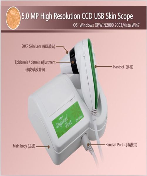 50 MP LED illuminateur haute résolution CCD CCD Coiffure cutanée Scanner de tests numériques Analyseur de diagnostic 2646739