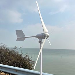 5000W 24V 48V 12V Windgenerator 3 Blades Horizontale windturbine met MPPT -opladercontroller en Off Grid Inverter windmolen