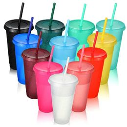 500710 ml Flash Powder Water fles met stro -deksel Plastic herbruikbare gepersonaliseerde drinkware koffie Drinking Cup Christmas Gifts 240420