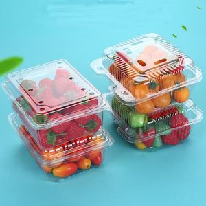 500g Fruit Aardbei Kers Groente Doos Wegwerp Transparant Blister Fruit Verpakking Plastic Doos Voor Boer Supermarkt