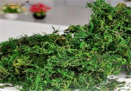 500GBABE Keep droge echte groene mos decoratieve planten vaas kunstmatige zijden bloemenaccessoires voor bloemenpot decoratie6556442