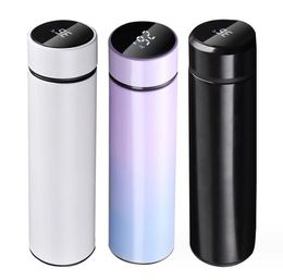 Thermos de bouteille d'eau intelligente de 500ML, flacon sous vide à LED, affichage numérique de la température, tasse à café en acier inoxydable, gobelet thermique, tasses d'isolation intelligentes