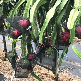 500 stks / partij tuin plantaardige druiven pitaya fruit bescherming tas pouch landbouw ongediertebestrijding anti-vogel zwarte gaas tassen