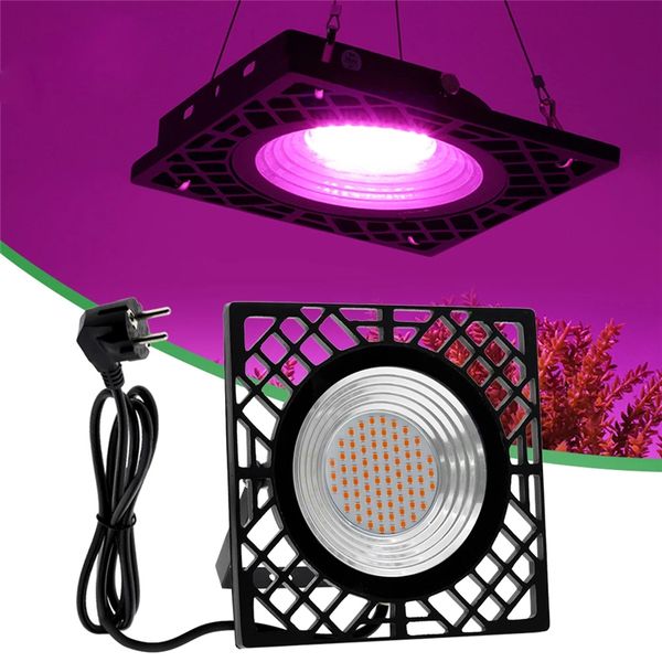 500W LED Grow Light Full Spectrum Indoor Growing Lamp AC 110V-220V Haute Efficacité Lumineuse Phyto Lampes pour Plantes Croissance Tente Serre Lumières