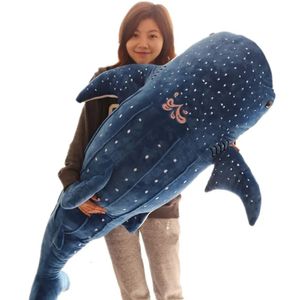 50100cm dessin animé Blue Shark Peluched Plush Toys Big Fish Whale Baby Animal Animal Dolls Enfants Cadeaux d'anniversaire 231221