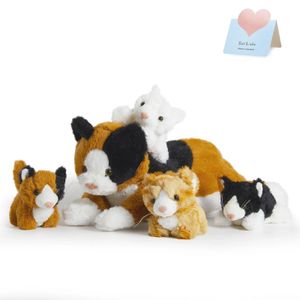 50 cm schattige kat pop knuffels set zachte Kitty verjaardagscadeau kussens 5-delige set knuffels voor meisjes kinderen kinderen 231220