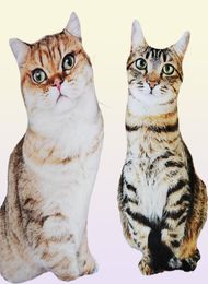 50 cm levensechte pluche kat kussen gevuld 3D print dier kat sierkussen woondecoratie cadeau voor auto mensen 2203049048719