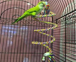 50 cm PARROT TOY ROPE TRAIDÉ PARROT PET PET CORDE BUDGIE PERCH BOIL