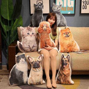 Simulación de 50 cm Teddy Dog Bulldog British Shorthair Cat Toys Plush Plush Pillow de animales estampados Llena de decoración del hogar Regalos de cumpleaños J220729