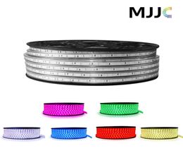 50m IP67 110V 120V 220V 230V SMD5050 60LEDSM RVB LED LED COLORF FLEXIBLE STRIP pour l'éclairage de Noël par FedEx3633396