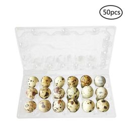 50pcs 12 15 18 grilles caille oeuf carton conteneur de stockage organisateur jetable boîte de rangement en PVC transparent distributeur d'oeufs support U3 C216g