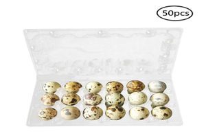50pcs 121518 rejillas de la cebolilla del huevo del huevo Algén del contenedor Organizador desechable PVC Box de almacenamiento del huevo transparente Soporte de huevo U3 C4956281