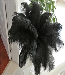 Pluma de plumas de avestruces negros de 50 piezas para el centro de la boda Central de la boda Casa de la casa de la boda Festive Table Decor Fiest Supply1579908