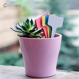 50stcs goedkoop 6*10 cm plastic plant t type tags markeringen kinderkamer tuin labels stick bord bloemen groenten aanplant label gereedschap gereedschap