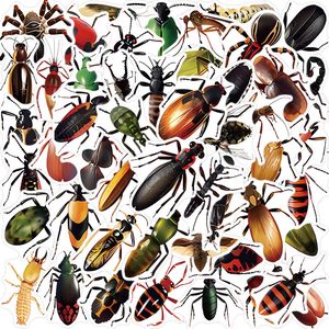 50 unids Cool Insect Stickers Funny Animal Spider Ladybug Graffiti sticker Kids Toy Skateboard car Motocicleta Bicicleta Sticker Calcomanías al por mayor