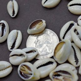 50pcs bricolage de la mer blanche coque de mer Cowrie Cowry Charm Beads Beach Jewelry Accessoires pour femmes Boucles d'oreilles Bracelet Collier Accessoires