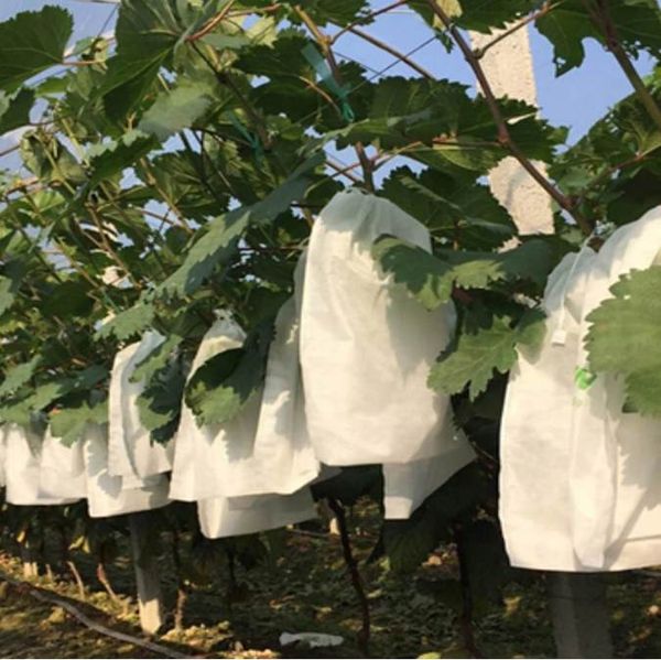 Bolsas para cultivo de frutas, 50 Uds., bolsa de protección para uvas con cordón antipájaros, herramienta de Control de plagas para prevenir bolsas para cultivo de plantas, herramientas de jardín