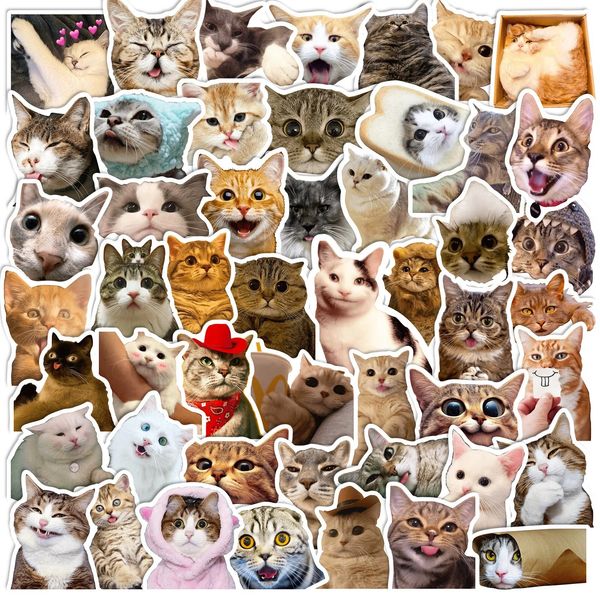 50pcs Stickers de chat drôles adorables, kawaii et décalcomanies colorées parfaites pour les bouteilles d'eau, les ordinateurs portables et les décalcomanies de moto