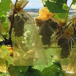 50 stks Tuin Groente Fruit Grow Bag Planten Protection Tas Anti Bird Trekkoord Netting Snoep Make Make Mesh Pouch Pest Control 210615