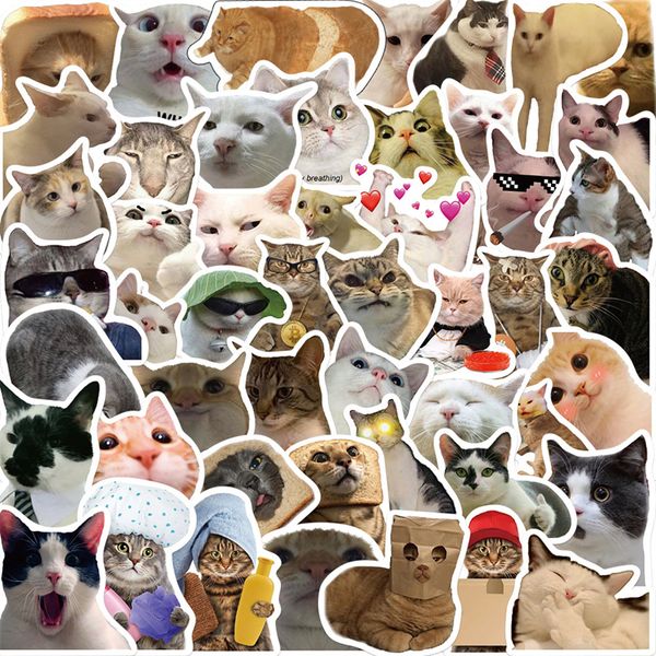 50 Pcs Internet Celebrity Kitty Meme Autocollant Drôle Chat Graffiti Autocollants pour DIY Bagages Ordinateur Portable Planche À Roulettes Moto Vélo Autocollants