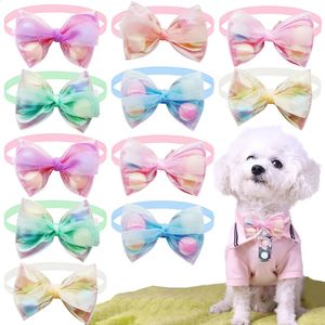 50pcs en dentelle Nises pour le petit chien Cat réglable Cat Pompoms mignons Bowties Puppy To couing accessoires 240418