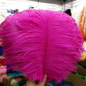 50pcs / lot de haute qualité Astrich Feather Christmas 10-12 pouces / 25-30 cm panaches fête de décoration bricolage Performance Plume Carnival