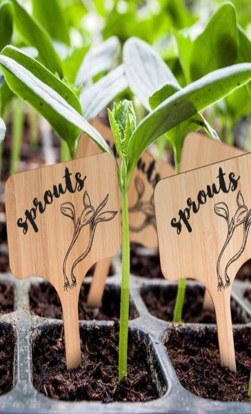 50pcs TType étiquettes de plantes en bambou étiquettes de signe en bois écologiques marqueurs de jardin pour les graines d'herbes en pot fleurs outils décorations 1632981