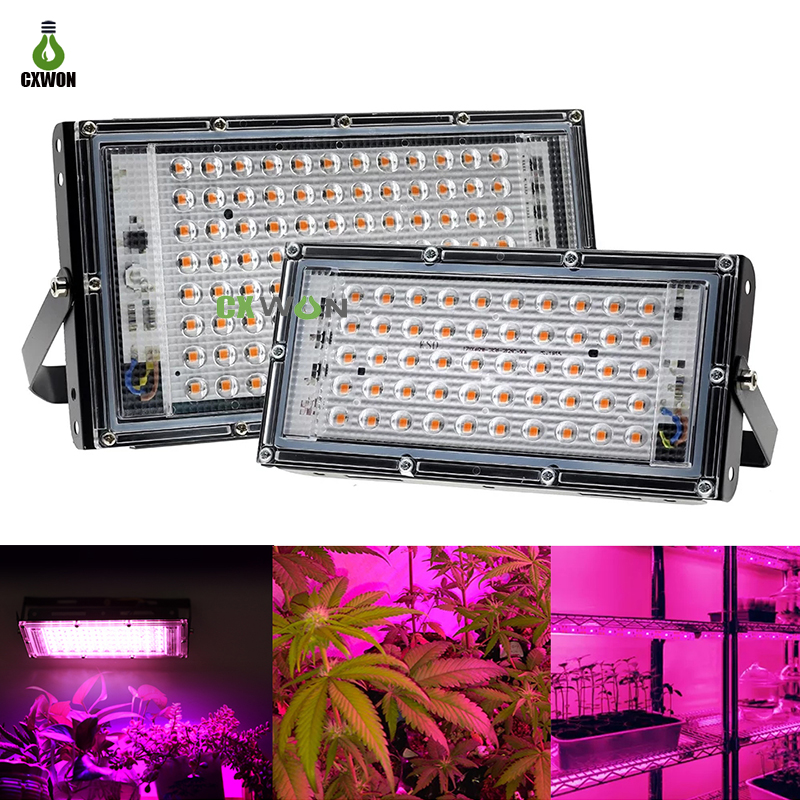 50W 100W LED Grow Lights 220V purple Phyto Light With Plug Plant lamps For Greenhouse Hydroponic Flower Seeding