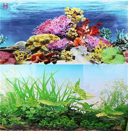 Décoration d'aquarium 50x120 cm