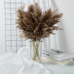 51530 pièces Pampas herbe décor mariage bouquet plantes naturelles pour la maison décoration de Table de noël et accessoires cadeau fleur séchée 6004652