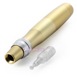 52pcs cartouches d'aiguille incluses le plus récent stylo Derma Photon LED à vendre stylo tampon à micro-aiguilles pour l'élimination des cicatrices et des vergetures