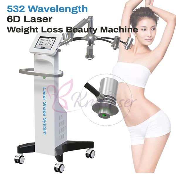 532nm Lipolaser 6D Laser Body Shape Machine 200mw lazer power reducción de grasa equipo de belleza adelgazante