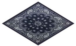 55cm55cm Cotton Hip Hop Paisley Bandana Square Scarf Head Wrap Neck Band Mandkinchief pour Graffititin Boyin Women Men2421709