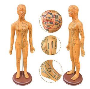 Maniquí femenino de punto de acupuntura con letras de 58cm, maniquí de acupuntura para investigación médica, masaje, zona refleja, modelo de enseñanza C518