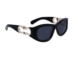 5A Brillen Ferra SF1082S SF2528 Brillen Korting Designer Zonnebrillen Voor Mannen Vrouwen Acetaat 100% UVA/UVB Met Glazen Zak Doos Fendave