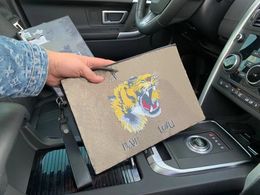 5A Qualità 2023 Nuova borsa da viaggio Borsa da toilette da viaggio 26cm Protezione Trucco Pochette da donna Borse cosmetiche impermeabili in pelle per donna Con polvere Baga portafoglio caffè Tiger