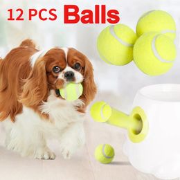 Jouet interactif de Tennis pour animaux de compagnie, 5cm, balle à mâcher, lancer à haut rebond pour enfants, fournitures pour chiots, accessoires y240220