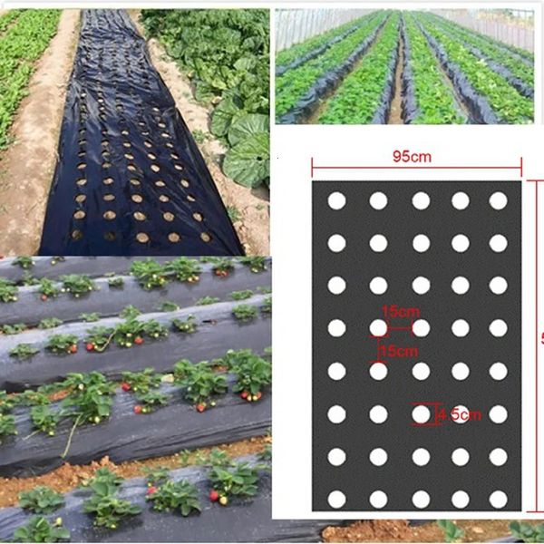 5holes 09550m 002 mm Black Garden Greenhouse Légumes Membrane Agricultural Plants Mulch Seemding Plastic Perfoated PE Film 240415