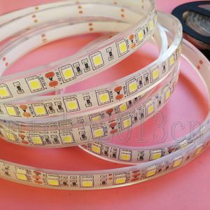 12V 5050 LED Flexible Strip Light Tape Ribbon String 5M 300LEDs IP68 Imperméable Extérieur Submersible pour Armoire Cuisine Celling Lighting