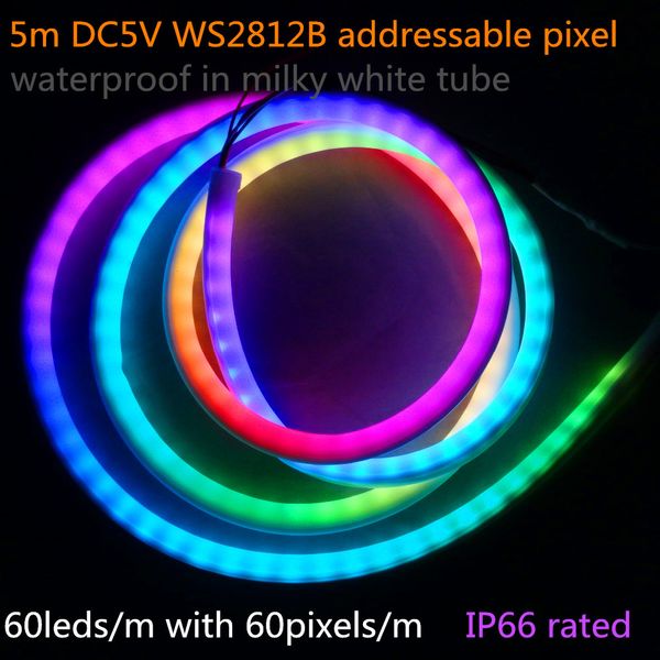 5 m DC5V WS2812B néon LED adressable, couleur RVB ; 60 LED/m avec 60 pixels/m ; étanche dans un tube blanc laiteux.