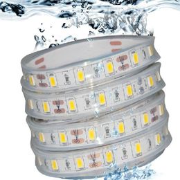 Tira de LED RGB 5050 de 5M IP68 impermeable 12V 60LED M uso bajo el agua para piscina pecera baño al aire libre con control remoto de 44 teclas C290o