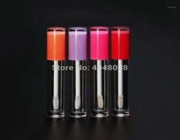 5 ml de tubes à lèvres vides rond roses violets orange blanc transparent à lèvres transparent de brillant à lèvres cosmétique
