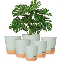 5pack 5 pouces d'auto-arrosage pour plants de plantes de plantes de plantes intérieures avec trous de drainage et corde de mèche 240410