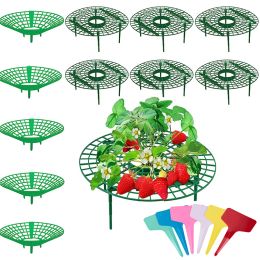 5pcs ~ 1pcs Strawberry Stand Cadre Solder Balcon Plantation Rack Soutien de soutien Plant Fleur Fleur Pilier Vine Pilier